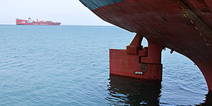 Africamar shipping in Africa